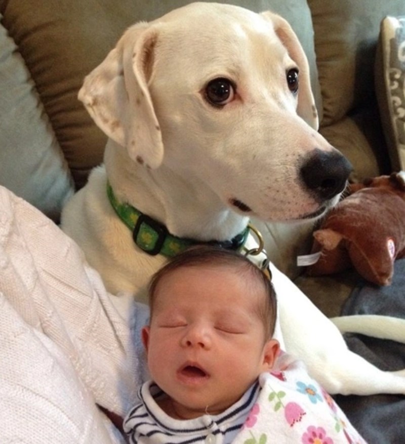 "Otkad je maleni zaspao na njemu nije se pomaknuo ni centimetra."