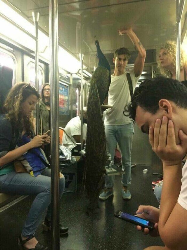 10.
