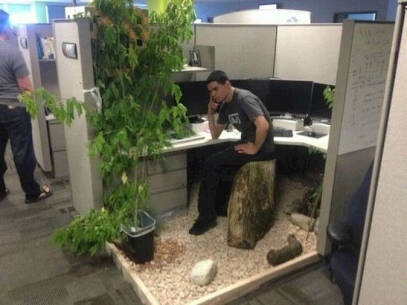 5. "Ne znam što da mislim o radnom prostoru svog kolege. Baš je uredio na poseban način..."