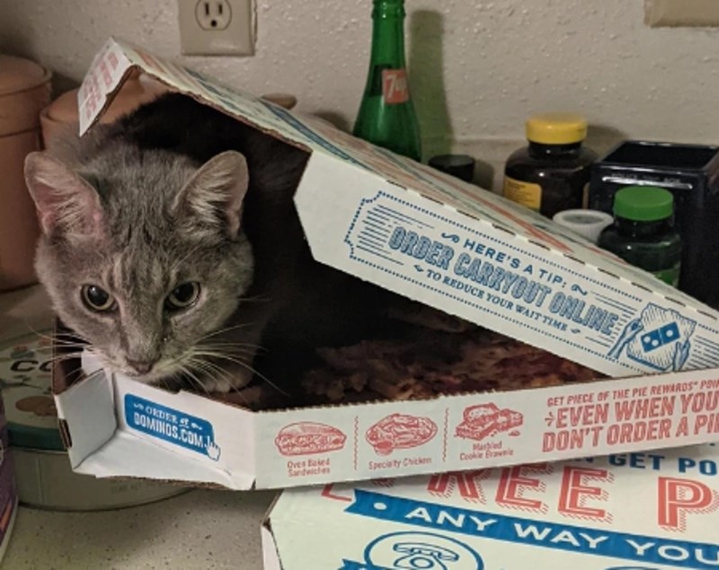 "A nije mi bilo samo pet minuta u kuhinji."