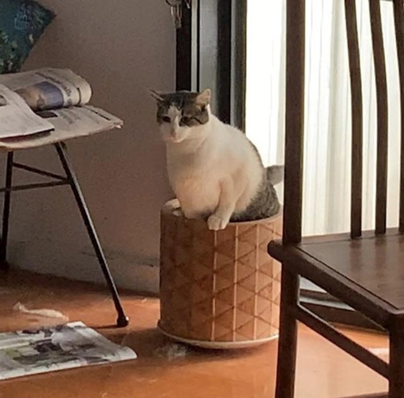 1. Je li ovo pravi primjer pogrešnog skretanja?