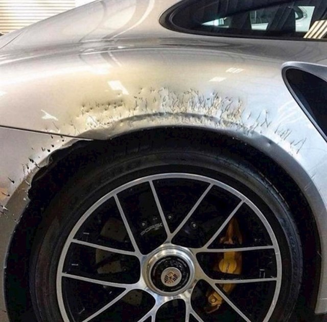 "Pas misli da je auto jako ukusan"
