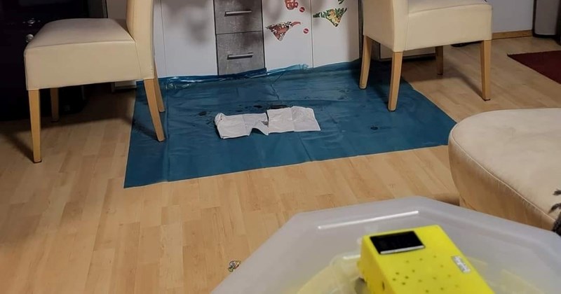 Prizor iz nečijeg dnevnog boravka nasmijao je ljude na Fejsu, morate vidjeti ovu domišljatost!