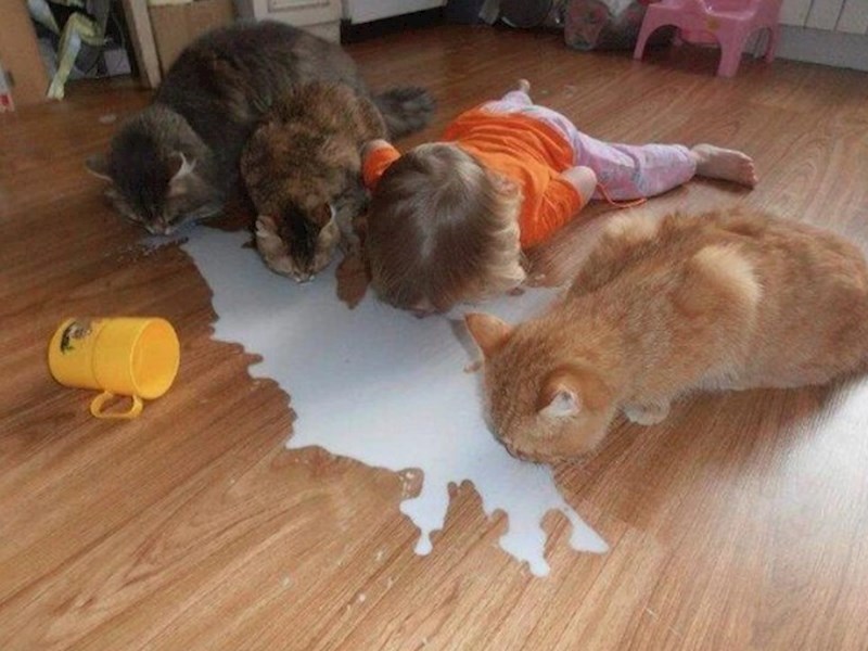 8. "Odlučila je biti dio čopora"