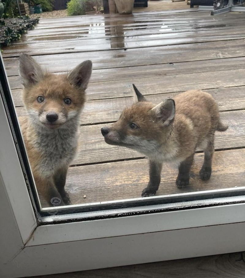 15. "A onda je dovela i prijateljicu!"