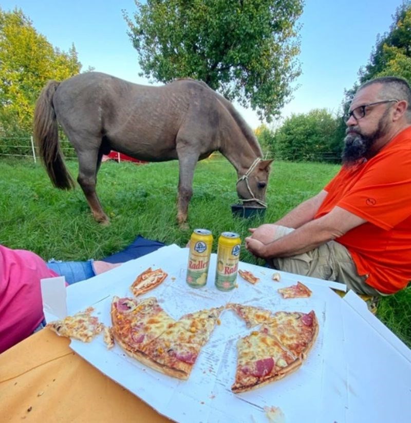 10. "Tata je bio jako ljut na nas kad smo uzeli ovog konja, a sad smo u situaciji kad ručamo vani na travi da konj ne bi bio sam."