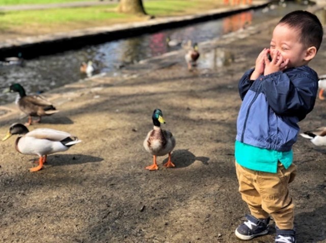 "Moj sin postane jako uzbuđen kao ugleda patke."