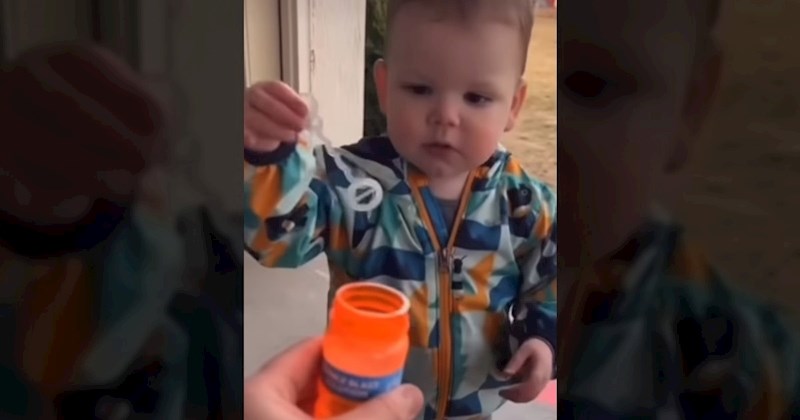 Mama snimala sina kako se igra puhalicom za mjehuriće, nećete vjerovati što je učinio na kraju videa