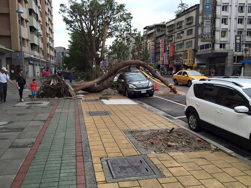 5. "Ne znam čije je ovo vozilo, ali je nevjerojatno da se automobil ostao netaknut"
