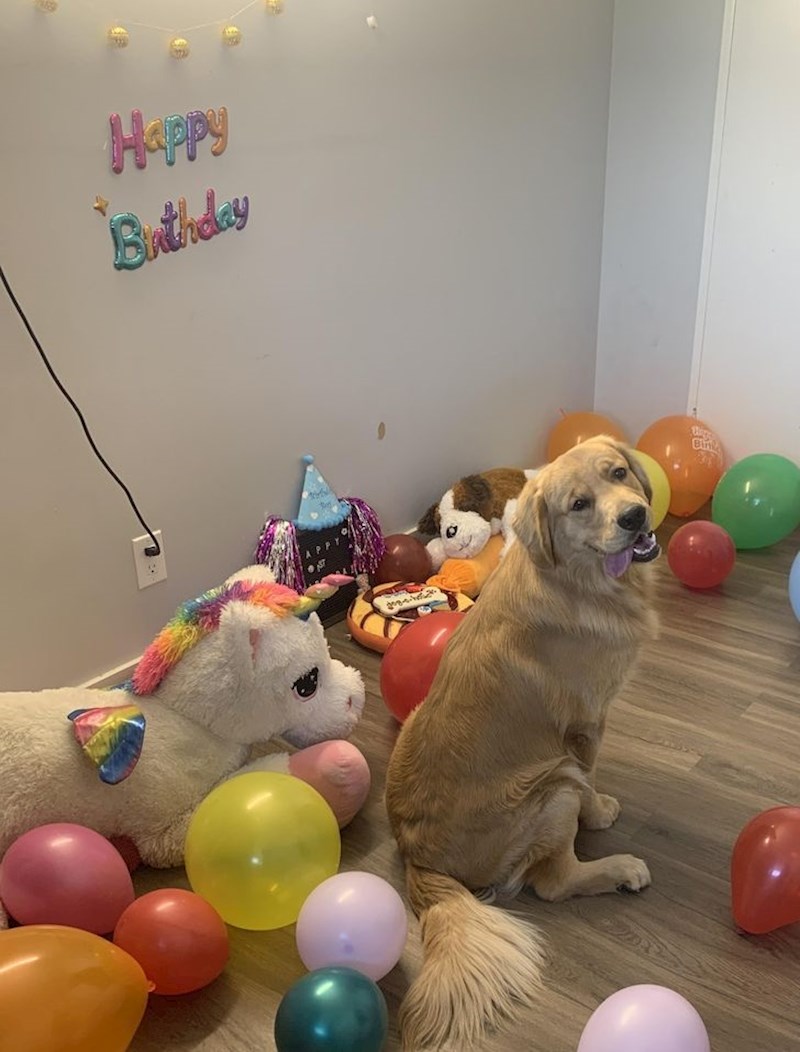 6. "Uživao je u proslavi rođendana"