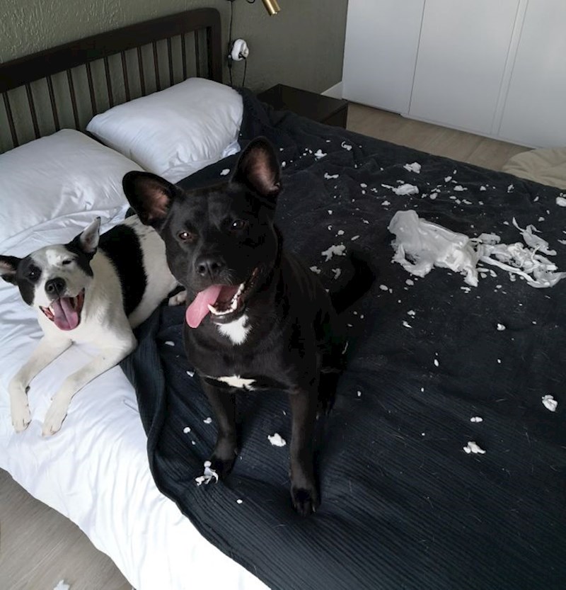 7. "Ponosni su kako su mi "uredili" krevet"