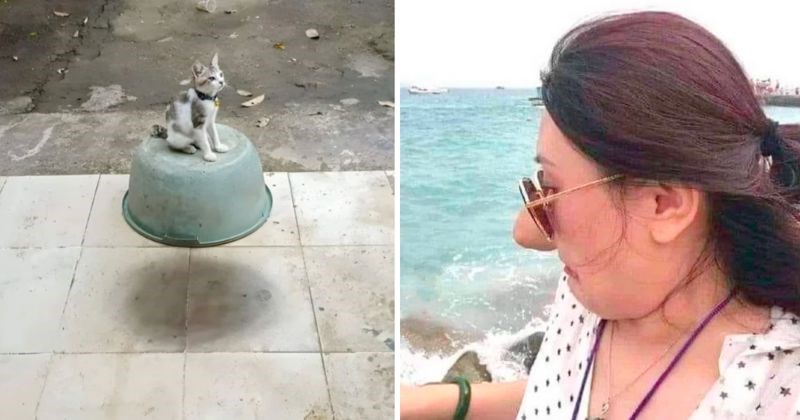 10+ zbunjujućih fotografija koje će na prvi pogled prevariti i najoštroumnije među nama