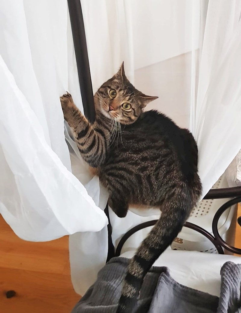 15. Ma ne, pa ne radi ona ništa