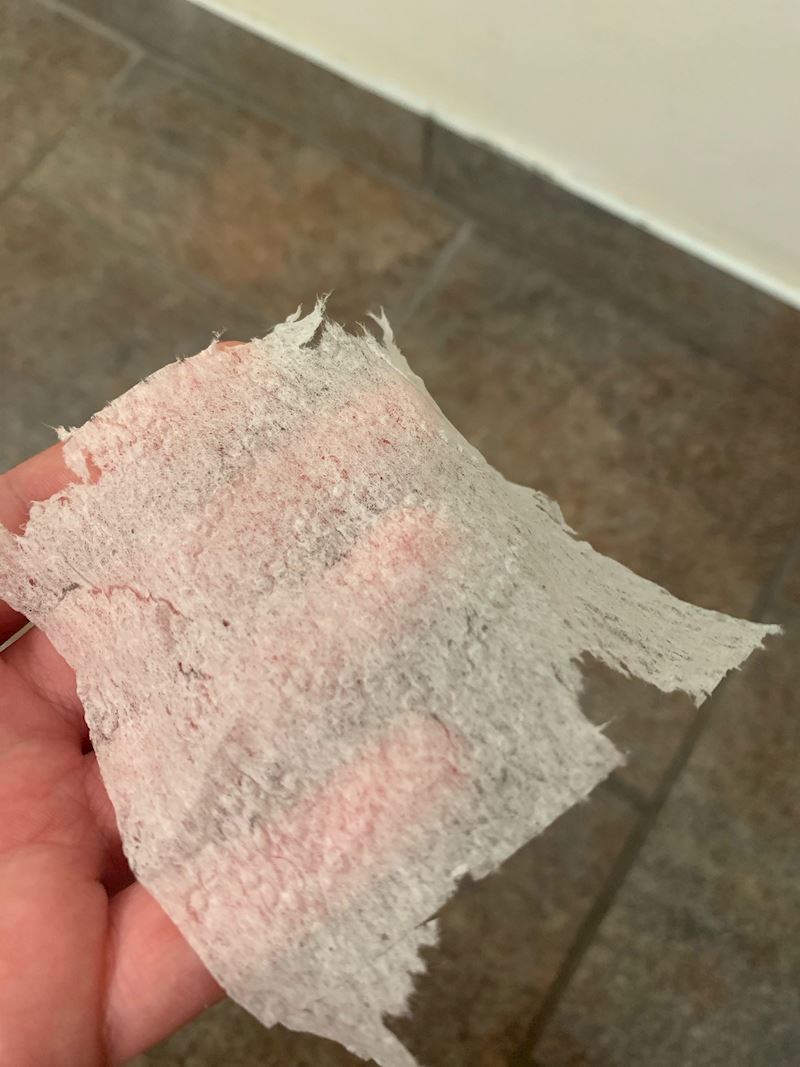 "Wc papir u hotelu u kojem odsjedam..."