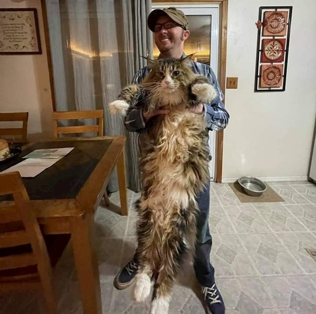 8.