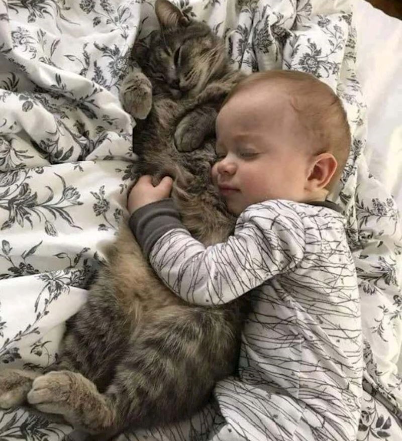 2. "Ovo mi je trenutno omiljena fotografija na mobitelu"