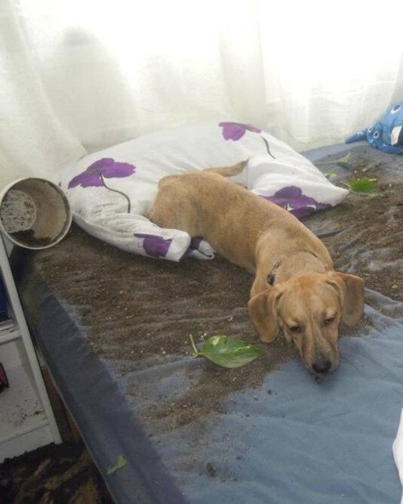 7. I od svih mjesta još u krevet...