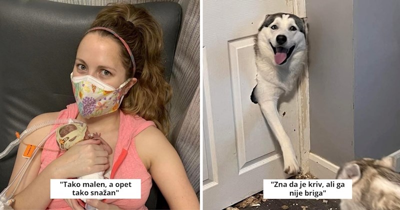 10 fotografija koje će vam izmamiti osmijeh na lice, provjerite koje se priče "kriju" iza njih