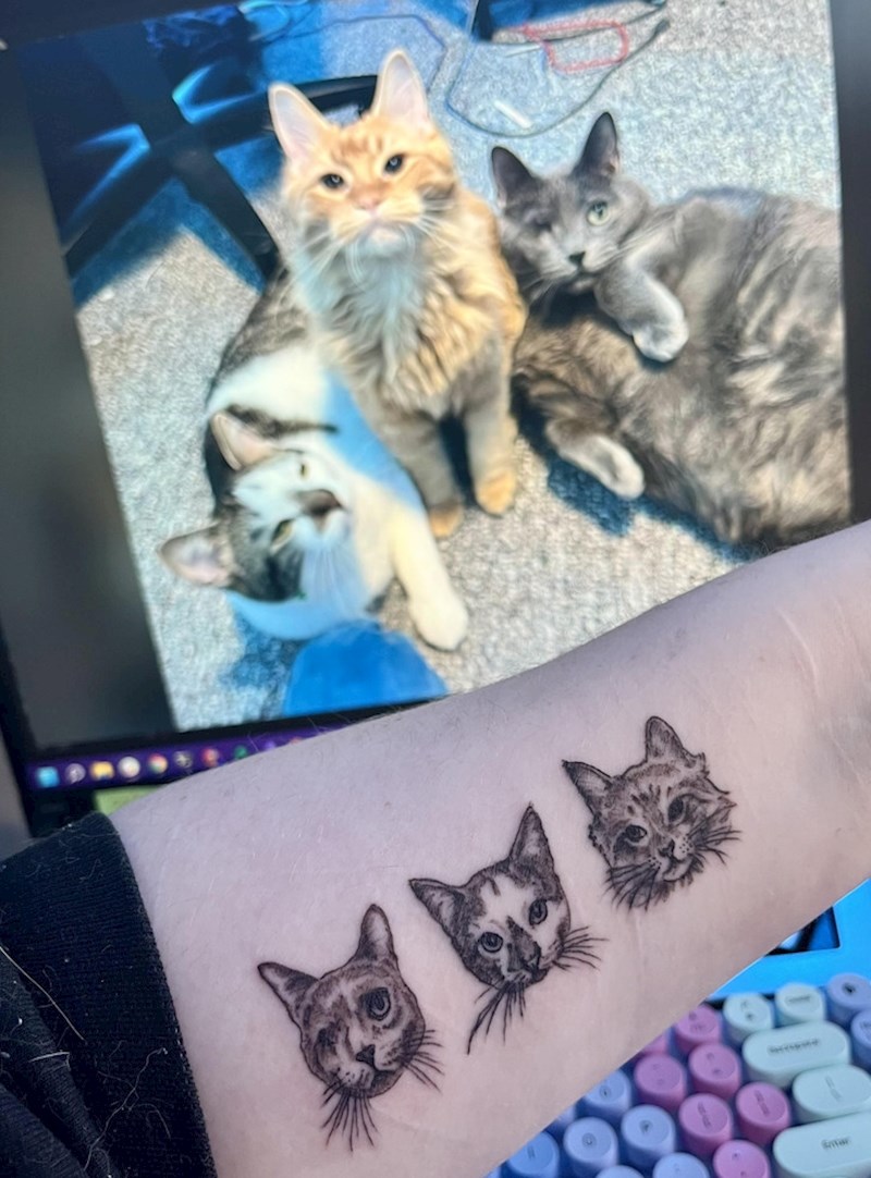 "Odlučila sam tetovirati svoje predivne mačke"