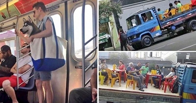 12 slučajeva kad su ljudi na genijalan način izigrali sustav i izbjegli glupe propise