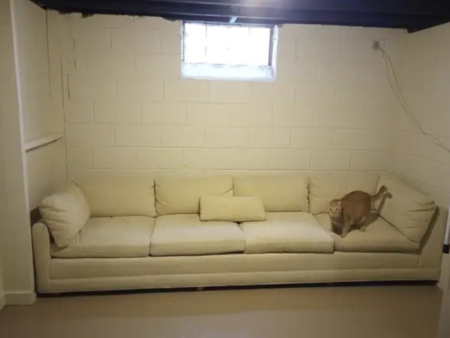 11.