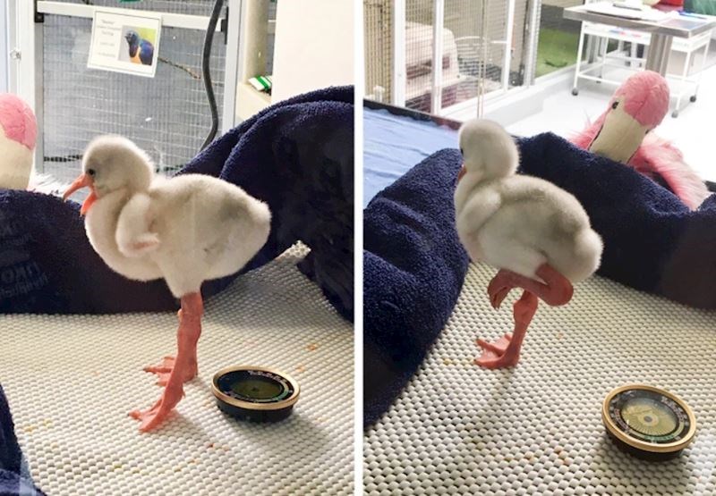 1. Malena, ali je već spremna na sve!