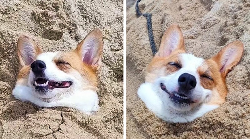 15. "Zna se tko je danas najviše uživao na plaži"