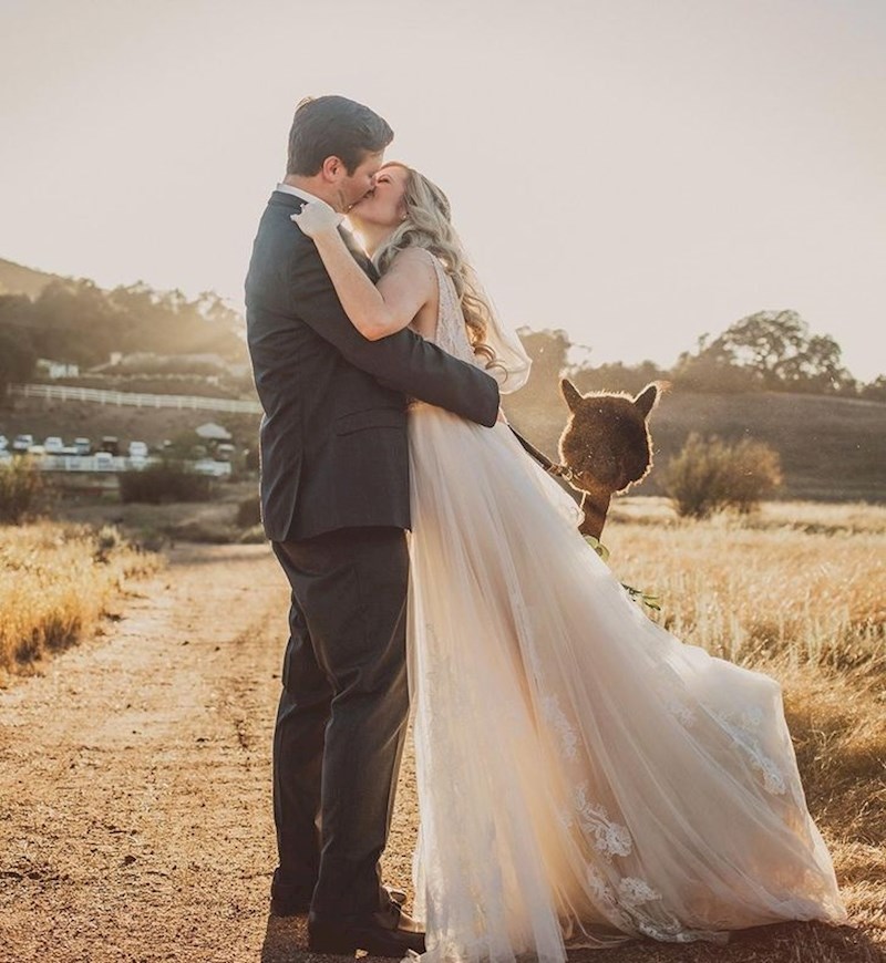 2. I ona želi biti na fotografiji 😄