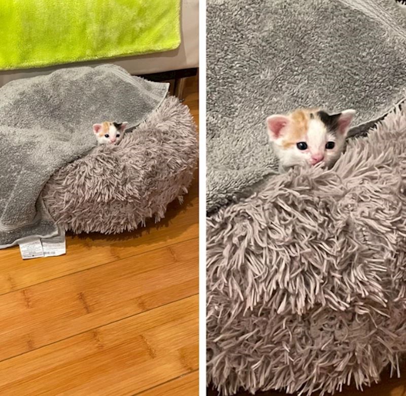 15. "Kako se samo sakrila slatkica mala."