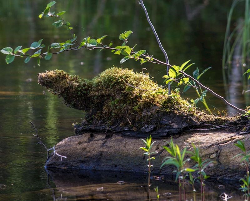4. E, ovaj "dabar" je baš fora!