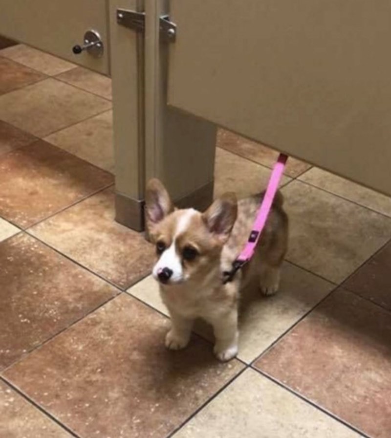 Neda joj se više čekati 🥰