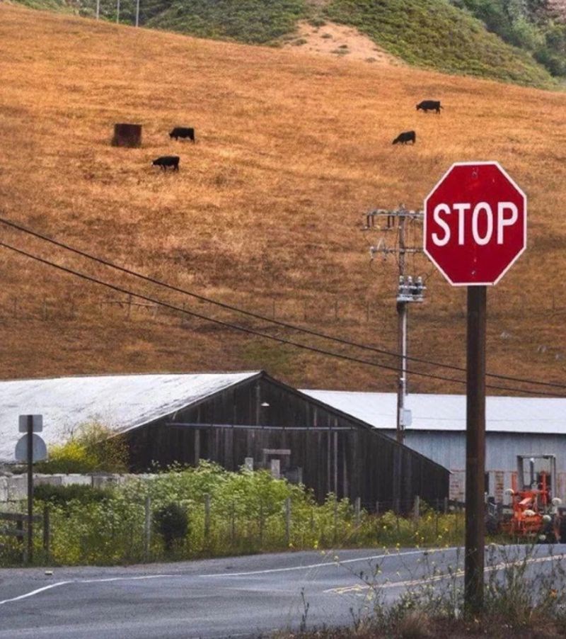 15. Kao da su dvije različite fotografije.