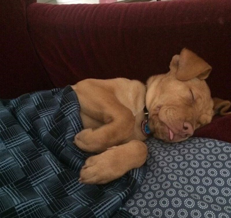 7. Kakav šećer 😍