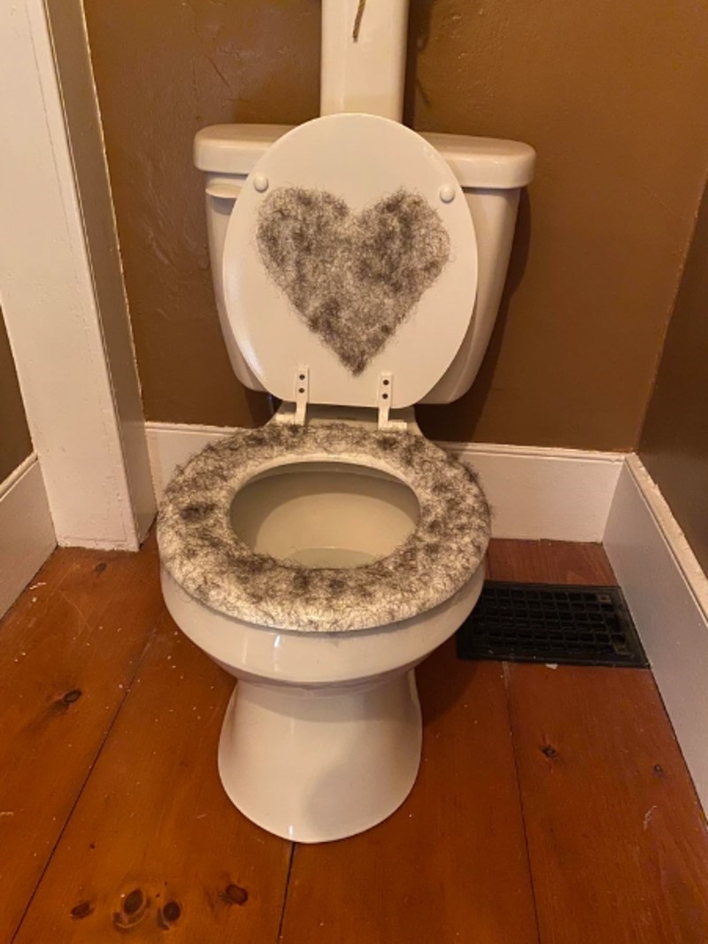 11. Uredio je wc dasku dlakama sa svojih nogu...