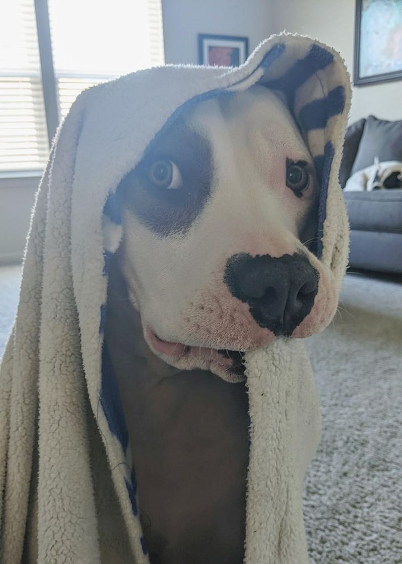 21. "Dok je u kući ne odvaja se od svoje dekice"