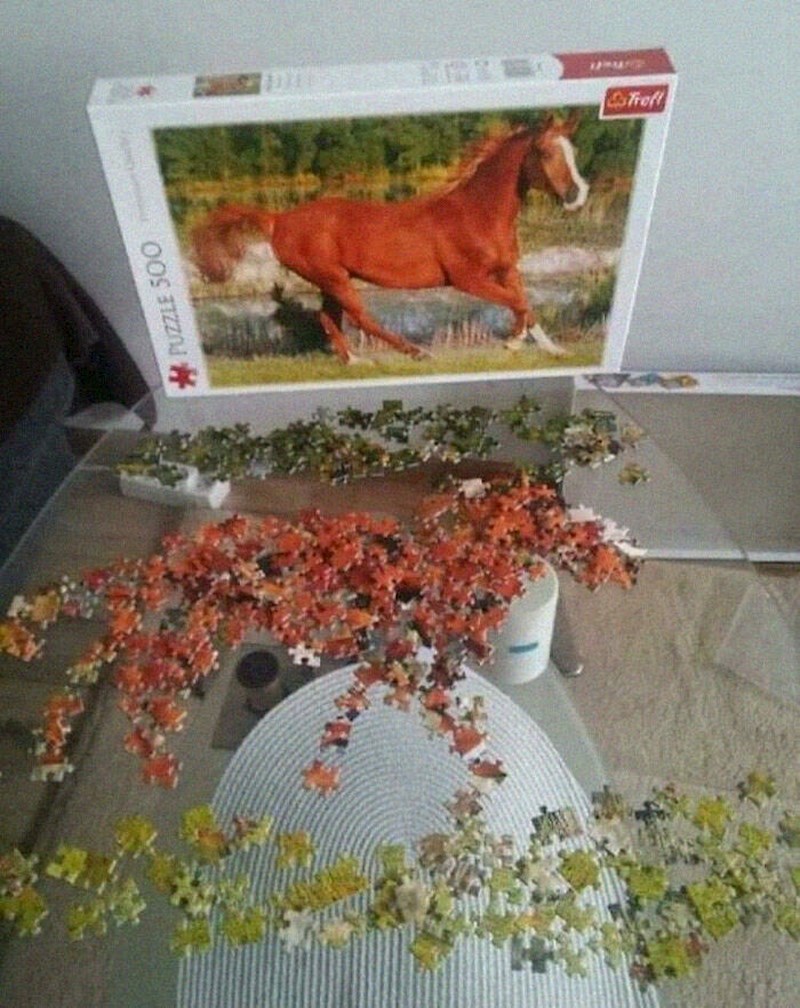 8. "Ne znam jeste li znali, ali postoji i drugi način kako da složite puzzle"