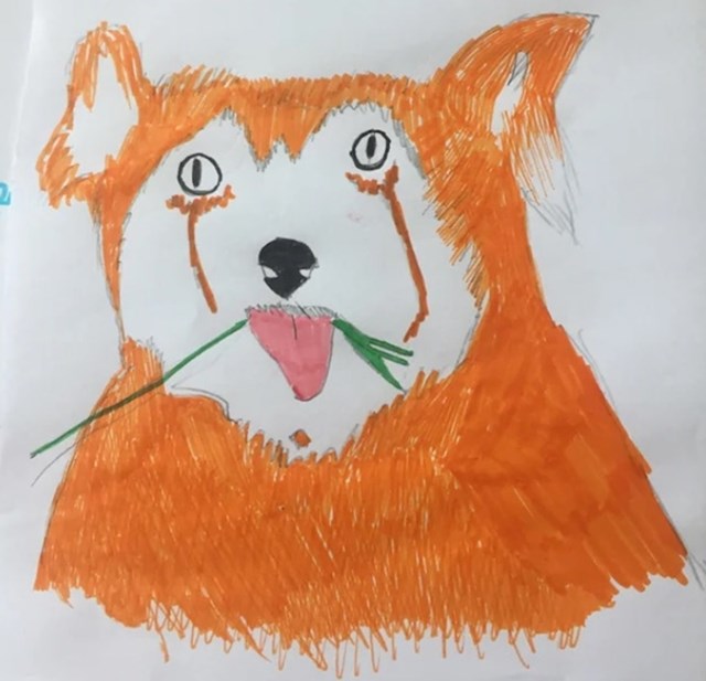 "Zamolila sam klinca kojeg čuvam da nacrta crvenu pandu. Ne znam izgleda li mi ovo više kao neki čudni pas ili medvjed..."