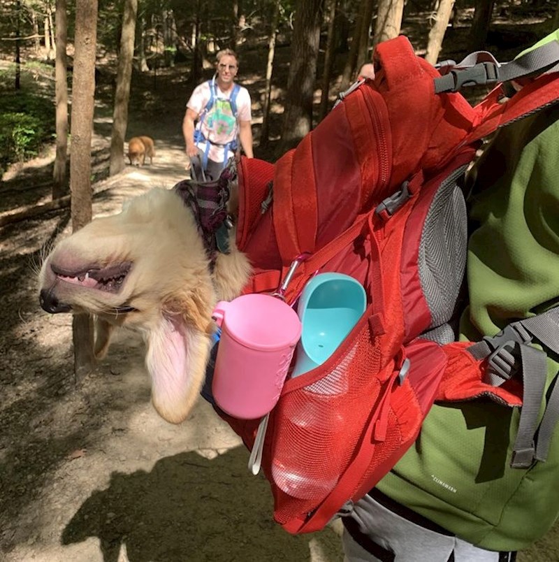 3. "Jednostavno nije mogao izdržati"