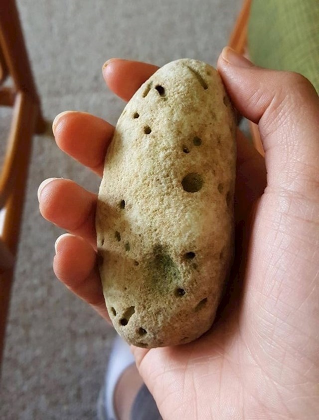 Kamen ili krumpir?