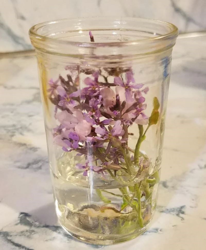 8. "Prošli vikend se nisam dobro osjećala pa mi je moja djevojčica ubrala cvijeće i donijela u sobu uz želju da čim prije ozdravim"