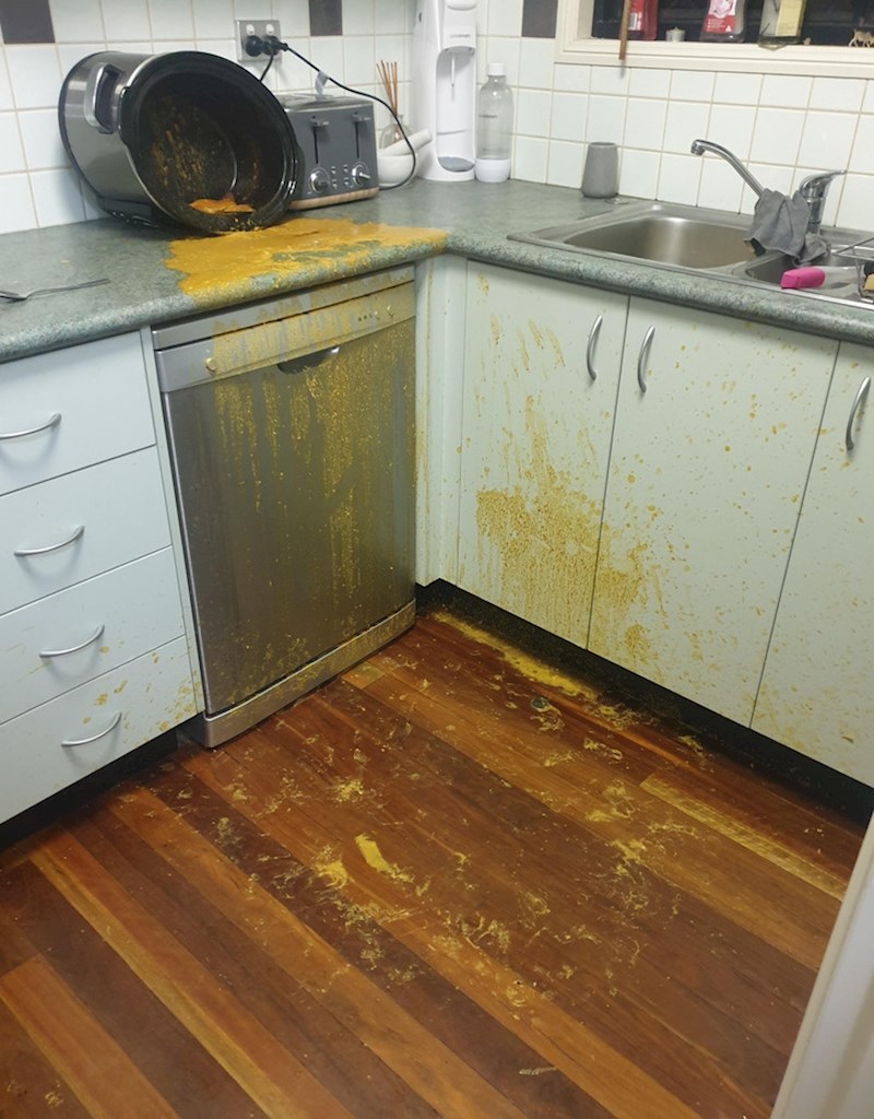 4. "Pas moje cimerice se odlučio poslužiti hranom koju sam kuhala skoro šest sati"