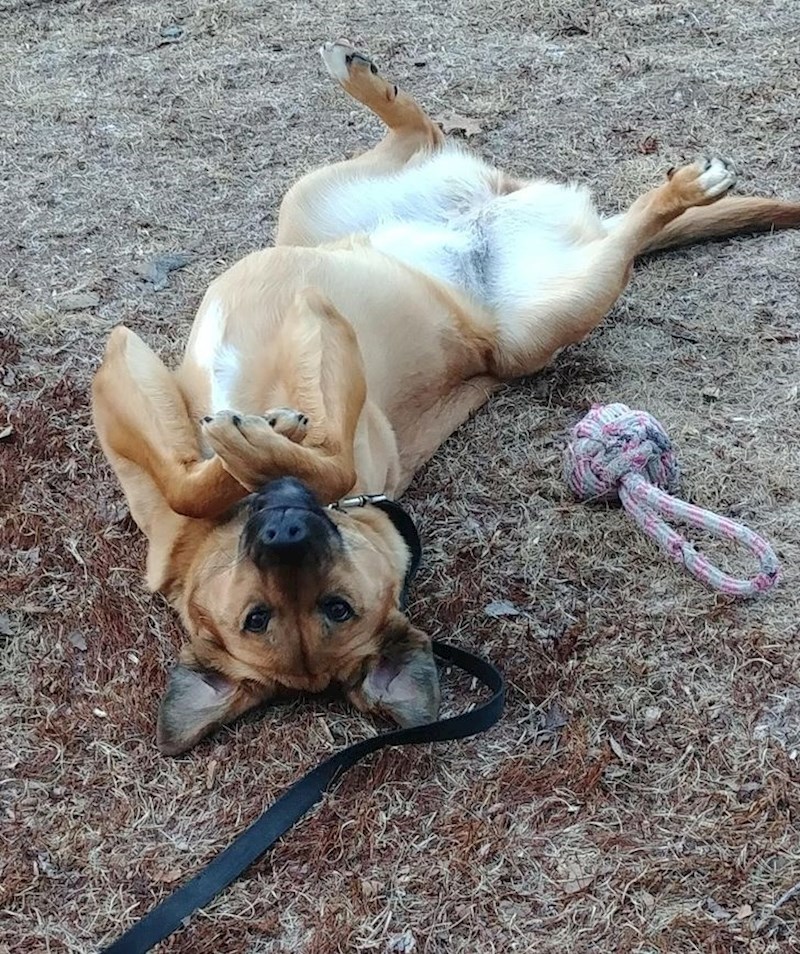 10. "Iako je vani hladno i jedva se čekam vratiti u kuću, ona očito ima druge planove"
