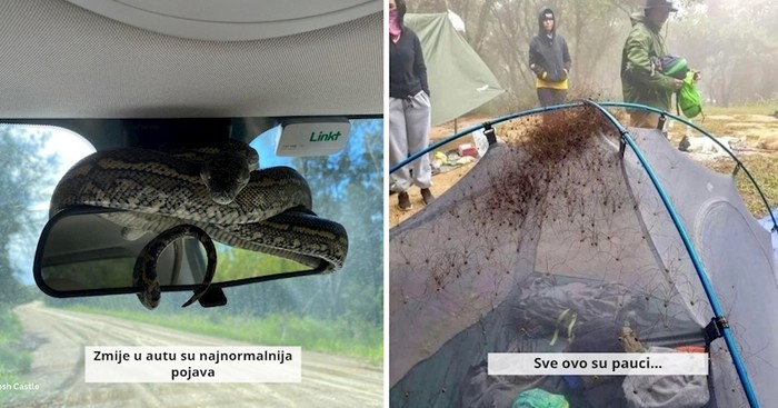 10+ jezivih prizora iz prirode zbog kojih se nećemo žuriti posjetiti Australiju