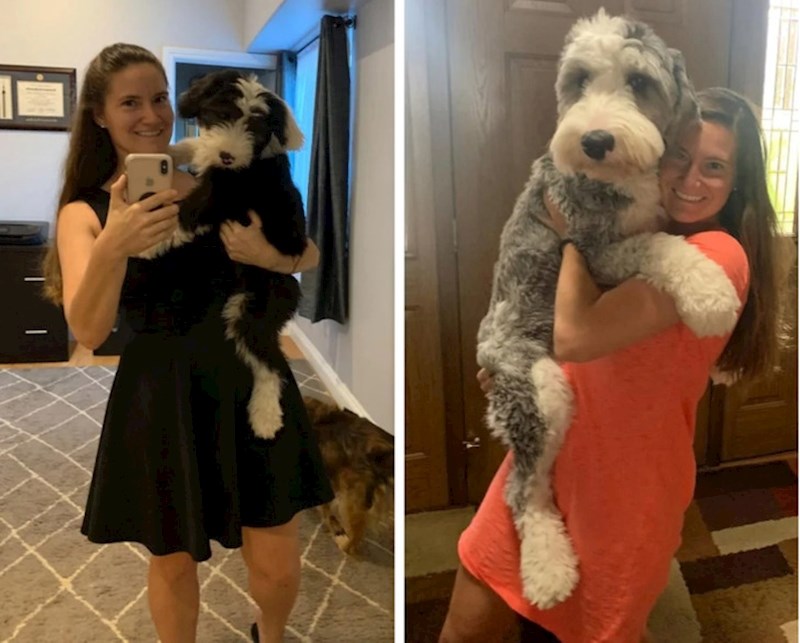 "Pepper i ja godinu dana nakon što smo ga udomili"