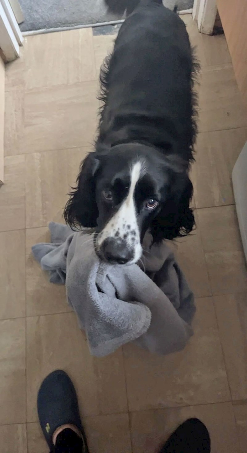 "Bila sam plakala pa mi je donio svoju dekicu u koju se uvijek skriva kad se boji"