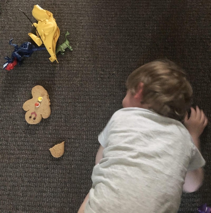 2. "Plače i jeca jer je slušajno potrgao nogu medenjaku..."