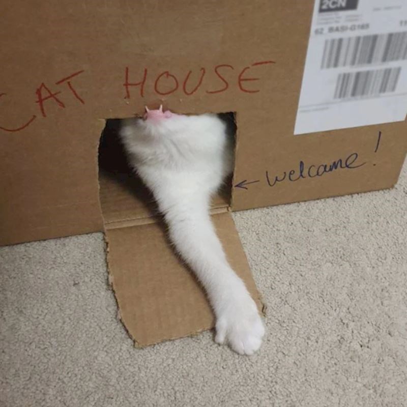 13. Nitko nije dobrodošao u ovaj dom!