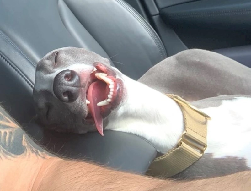 Naaaajveći osmijeh!