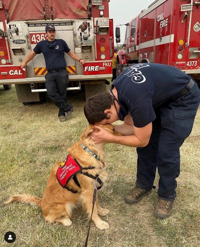 9. Terapijski pas koji svakodnevno pomaže vatrogascima da ne razmišljaju o teškim i tragičnim intervencijama