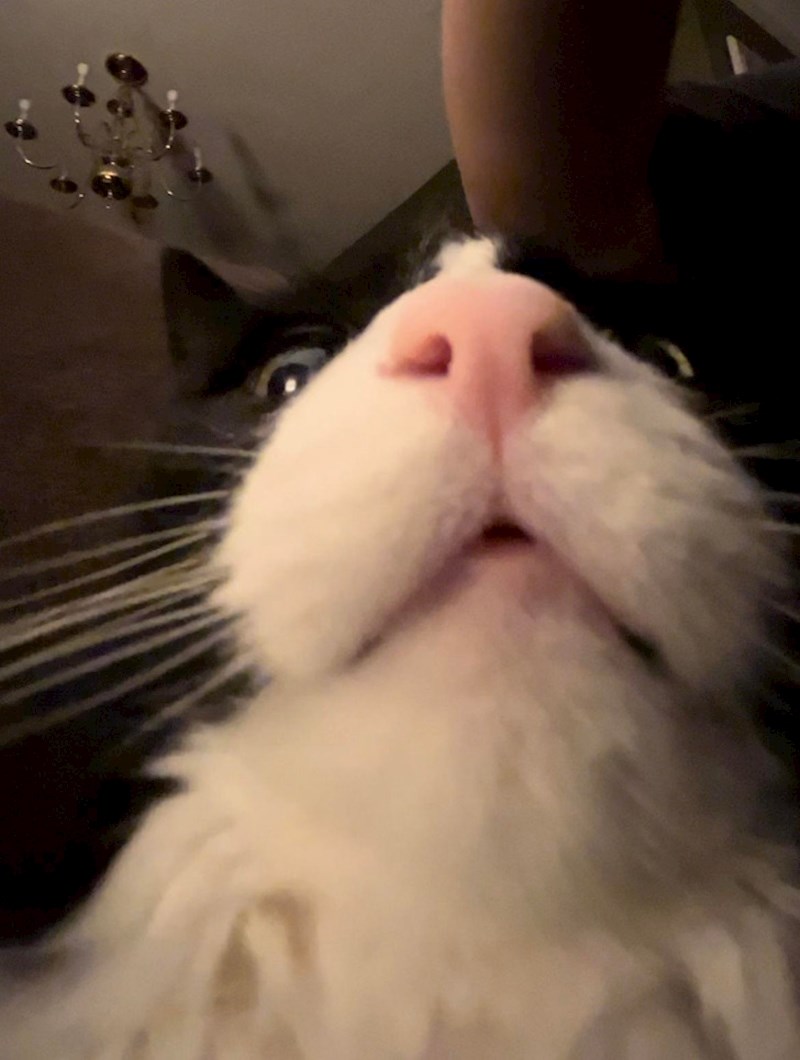 9. Ono kad slučajno upališ prednju kameru 😃